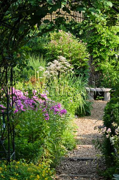 570099 - Perennial garden with stone bench