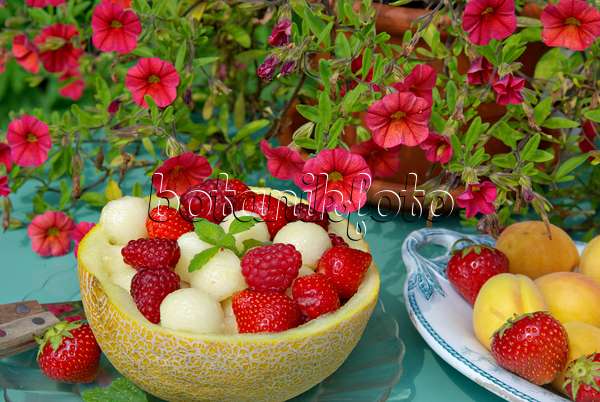 452162 - Pétunias (Petunia Million Bells), fraisiers cultivés (Fragaria x ananassa), abricotiers (Prunus armeniaca) et melon (Cucumis melo)