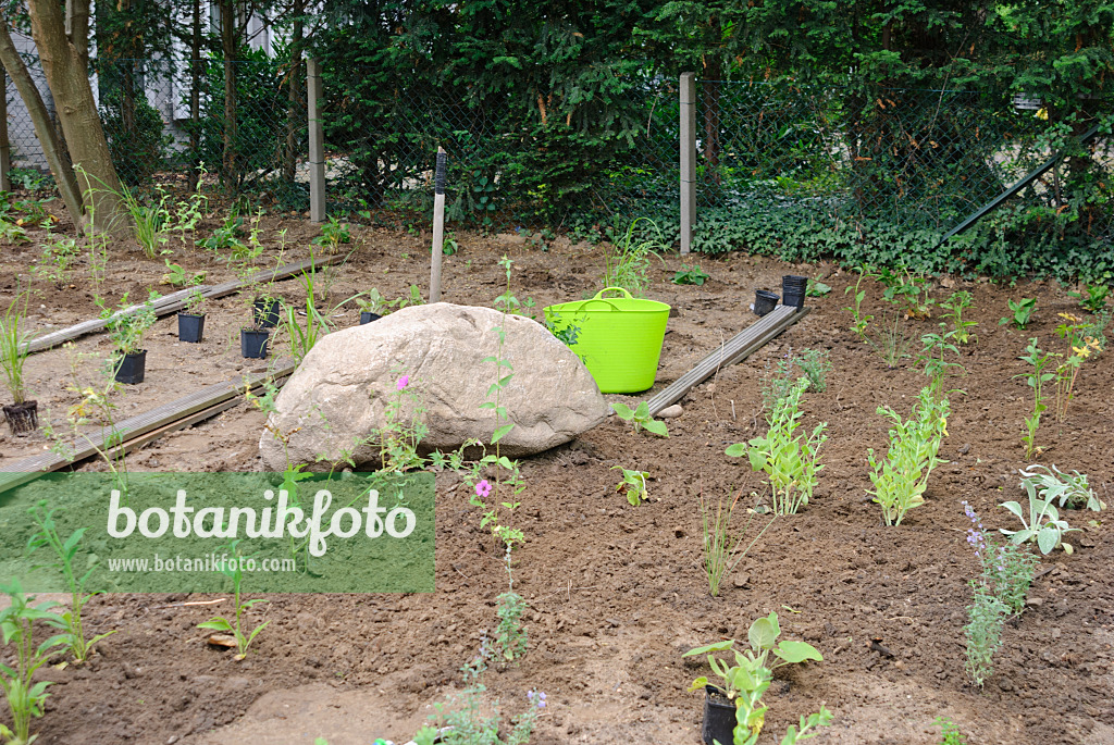 518004 - Planting a perennial bed