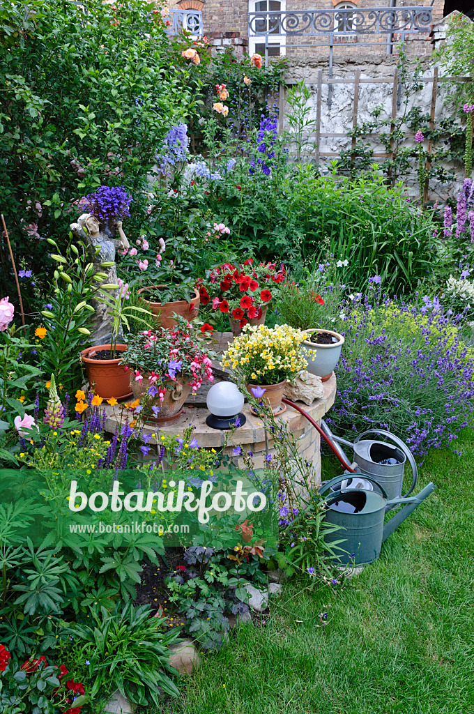 473244 - Plate-bande et des plantes annuelles dans un jardin de ville