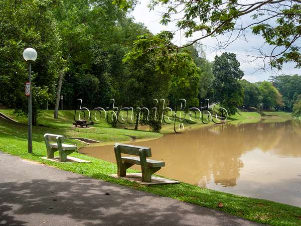 411070 - Pond, Kent Ridge Park, Singapore