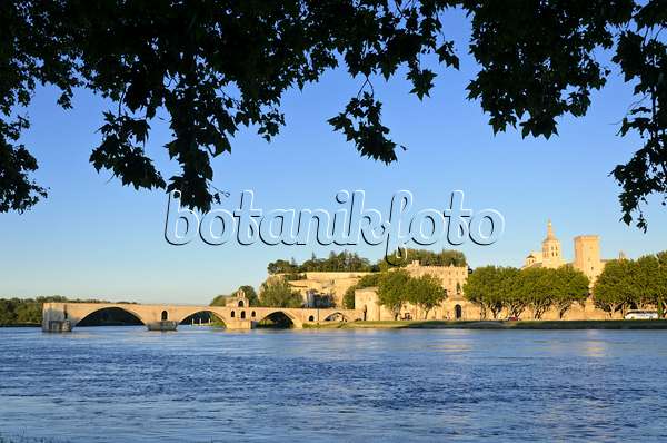 557219 - Pont Saint-Bénézet et Palais des Papes, Avignon, Provence, France