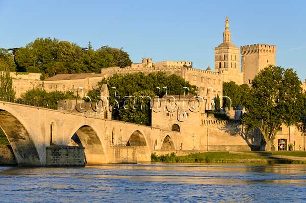 557220 - Pont Saint-Bénézet et Palais des Papes, Avignon, Provence, France