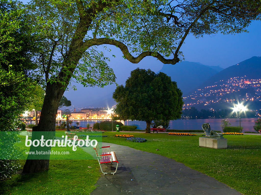 414089 - Promenade at Lago di Lugano, Lugano, Switzerland