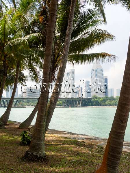411053 - Promenade, Marina City Park, Singapore