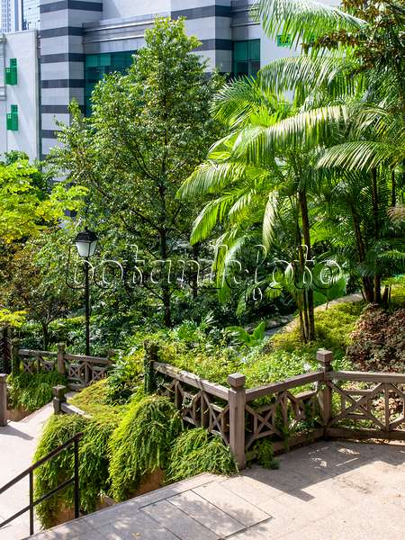 434260 - Raffles Terrace, Fort Canning Park, Singapour