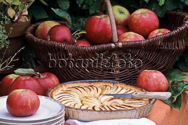 428297 - Red apples (Danziger Kantapfel) with apple tart