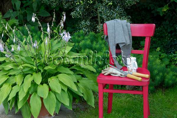 456002 - Red chair with gardening tools