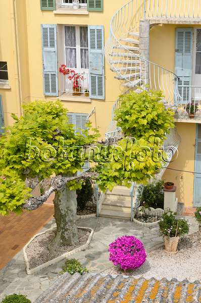 533107 - Residential building with backyard garden, Hyères, France