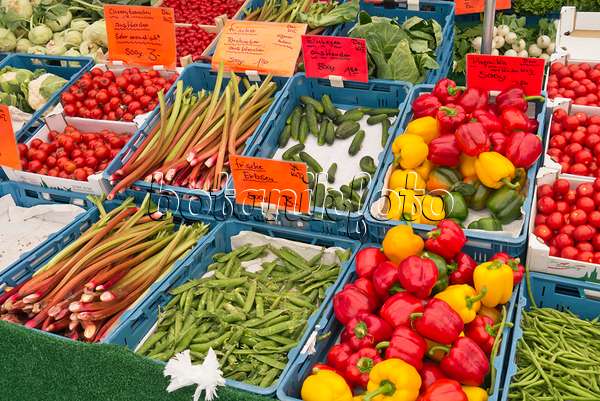 545108 - Rhubarbs (Rheum), peas (Pisum), cucumbers (Cucumis sativus) and sweet peppers (Capsicum)