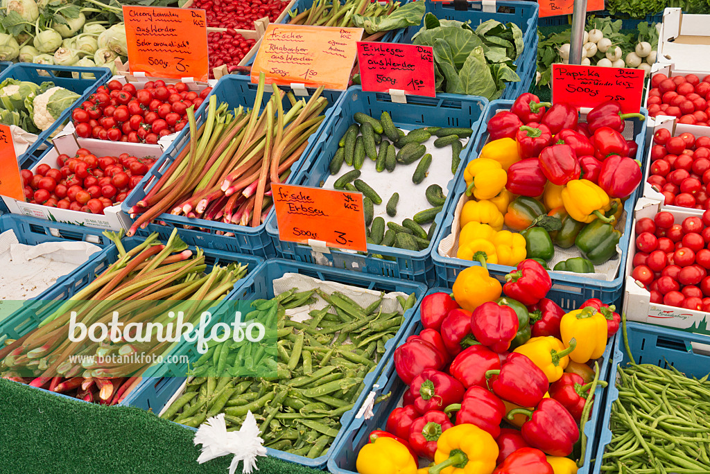 545108 - Rhubarbs (Rheum), peas (Pisum), cucumbers (Cucumis sativus) and sweet peppers (Capsicum)