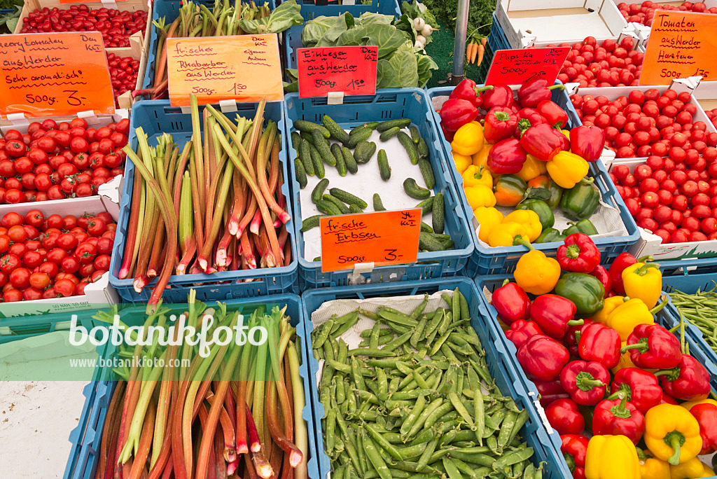 545109 - Rhubarbs (Rheum), peas (Pisum), cucumbers (Cucumis sativus) and sweet peppers (Capsicum)