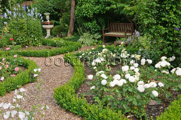 486026 - Rose garden with box hedges, planted fountain and garden bench