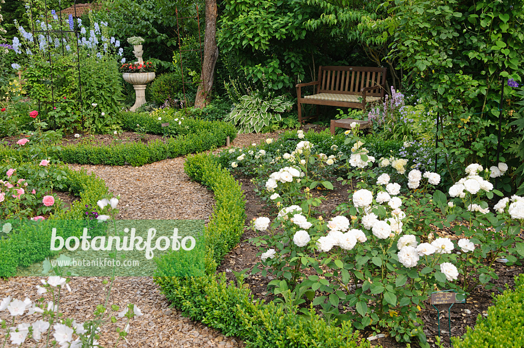 486026 - Rose garden with box hedges, planted fountain and garden bench