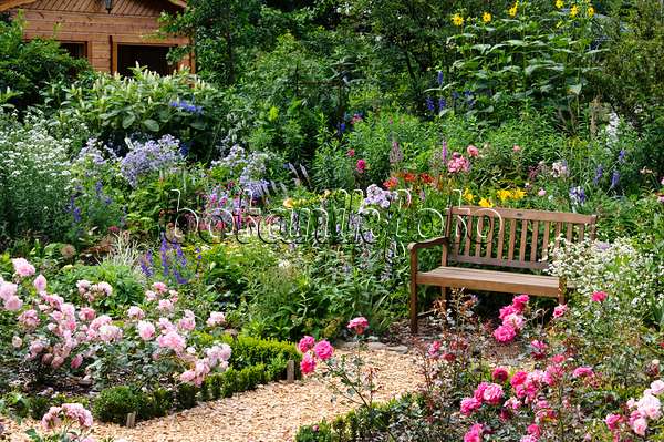474153 - Roseraie avec un banc de jardin