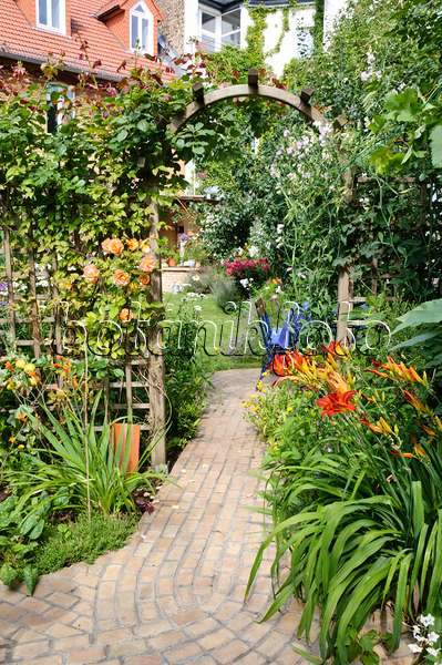 474335 - Roses (Rosa) and day lilies (Hemerocallis) in a backyard garden