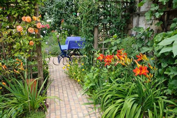 474367 - Roses (Rosa) and day lilies (Hemerocallis) in a backyard garden
