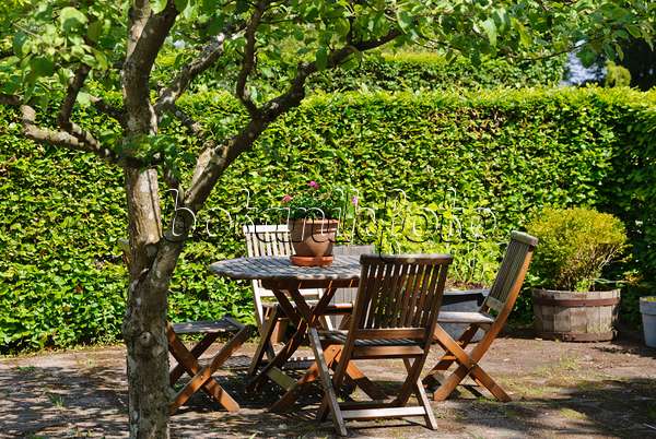 496190 - Seating area under an apple tree