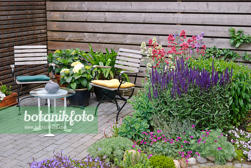 500182 - Seating area with ashy cranesbill (Geranium cinereum subsp. subcaulescens syn. Geranium subcaulescens), woodland sage (Salvia nemorosa) and red valerian (Centranthus ruber)