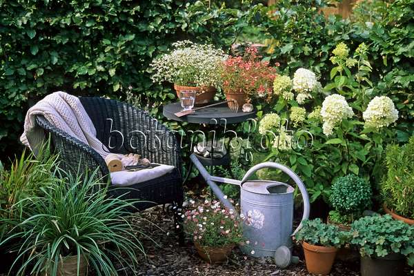 442067 - Seating area with potted plants in a garden