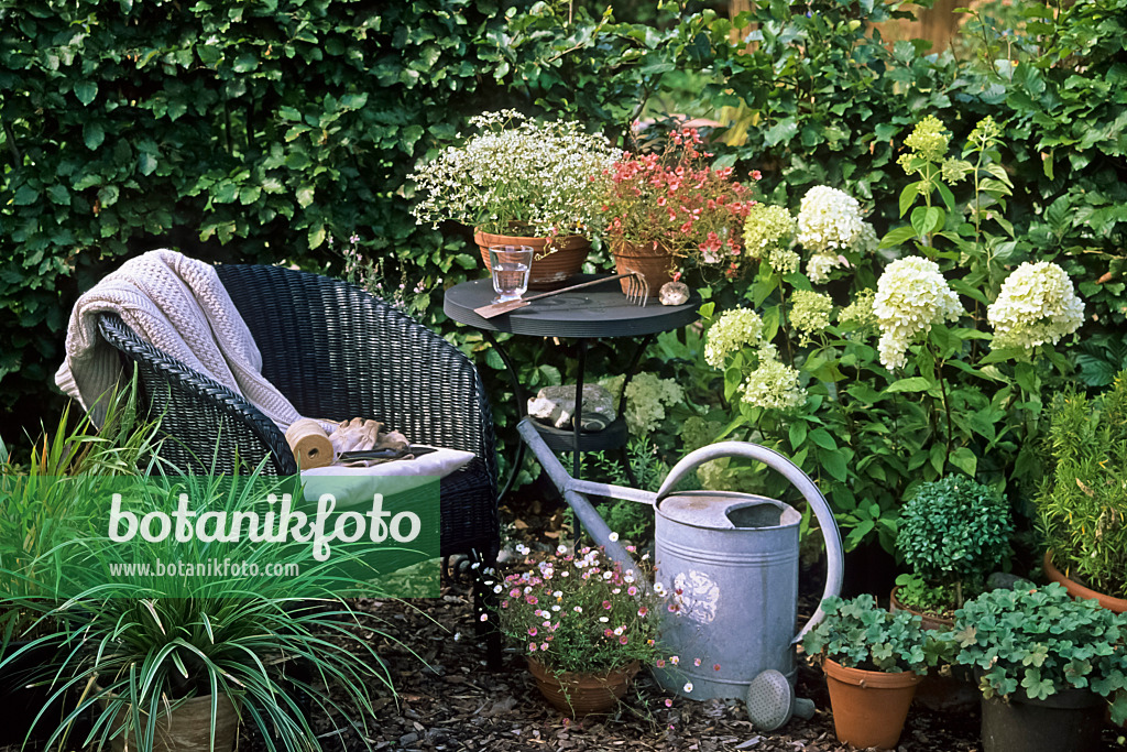 442067 - Seating area with potted plants in a garden