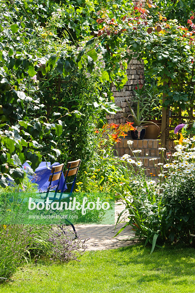 474356 - Seating area with rose arch in a backyard garden