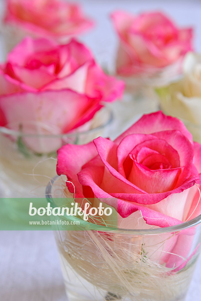 475299 - Small vases with rose blooms on a white table cloth