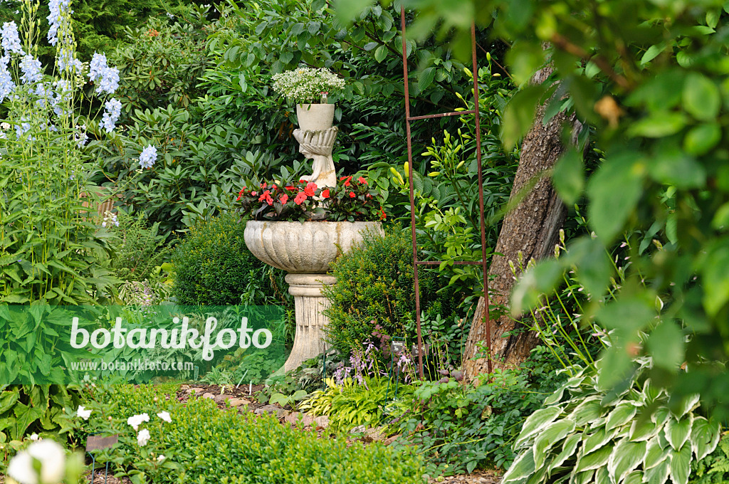 486028 - Spurge (Euphorbia hypericifolia 'Diamond Frost') and buzy Lizzie (Impatiens walleriana) in a fountain