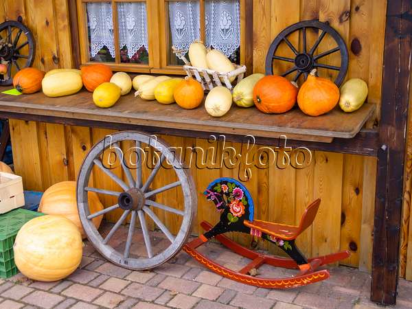 525187 - Squash (Cucurbita) with cart wheels and rocking horse