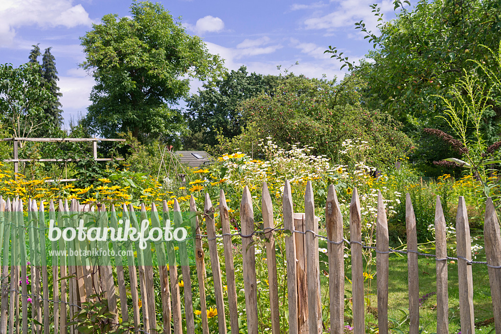 573021 - Stake fence at a perennial garden