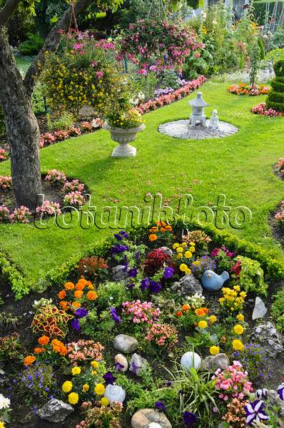534286 - Summer flowers in an allotment garden