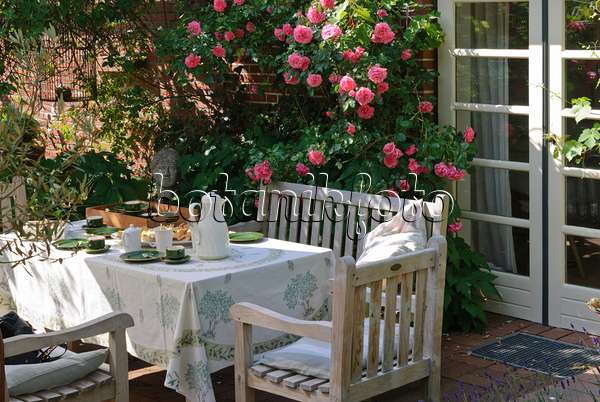 475262 - Table dressée à une maison, rose 'Rosarium Uetersen' en arrière-plan