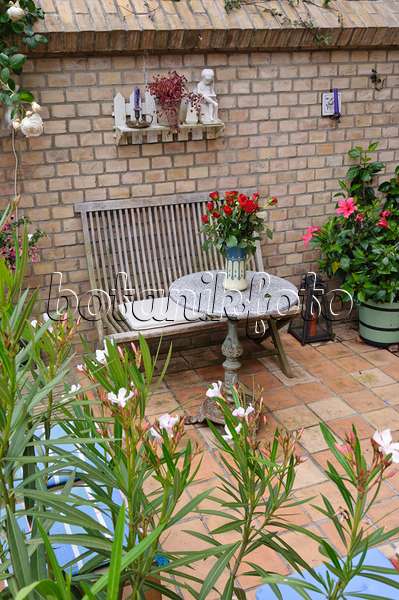 473246 - Terrace of a backyard garden with seating area