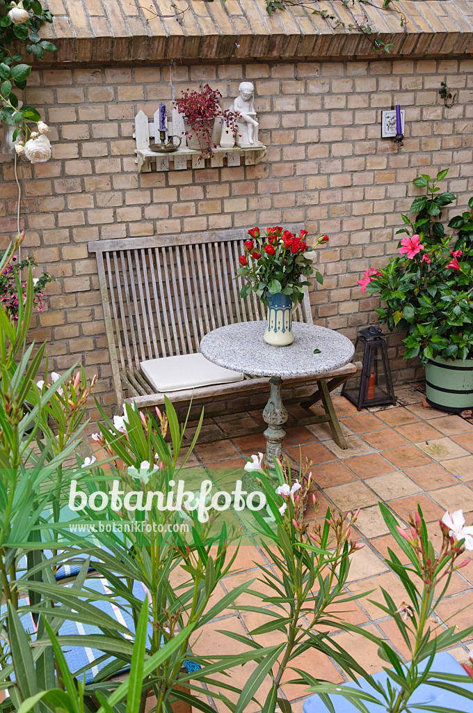 473246 - Terrace of a backyard garden with seating area