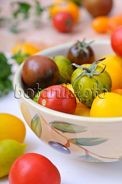 476086 - Tomatoes (Lycopersicon esculentum)