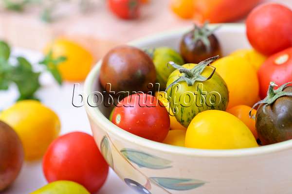 476087 - Tomatoes (Lycopersicon esculentum)