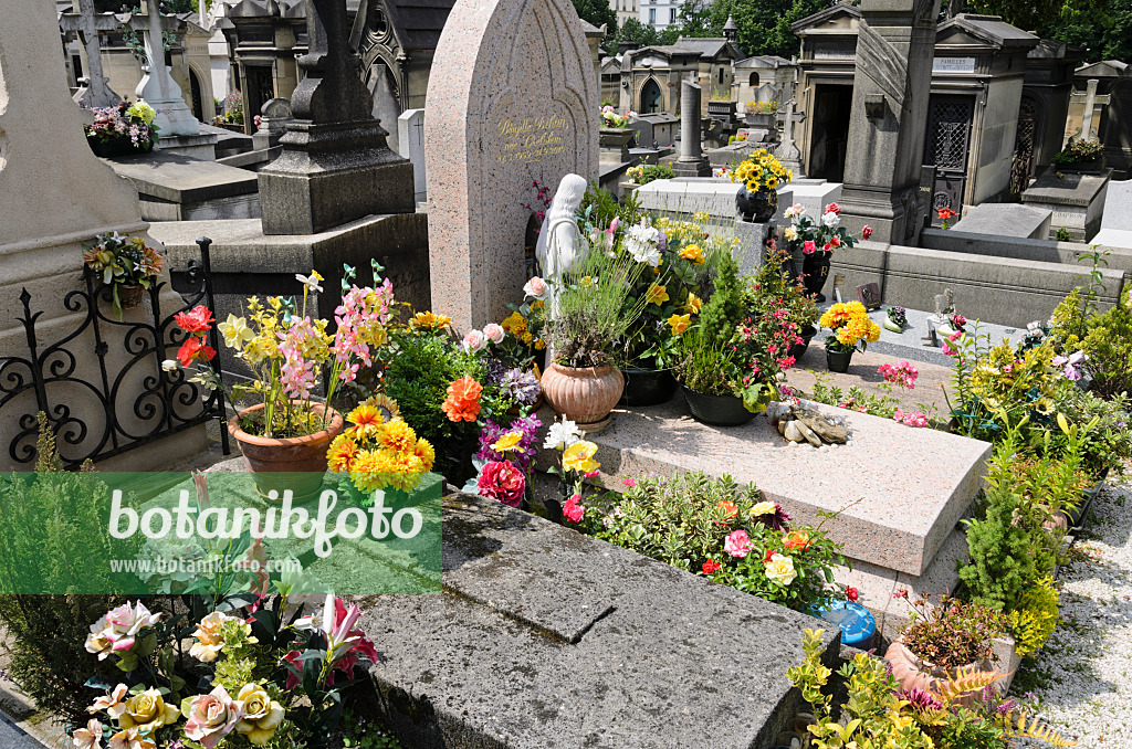 521413 - Tombs with rich floral decoration