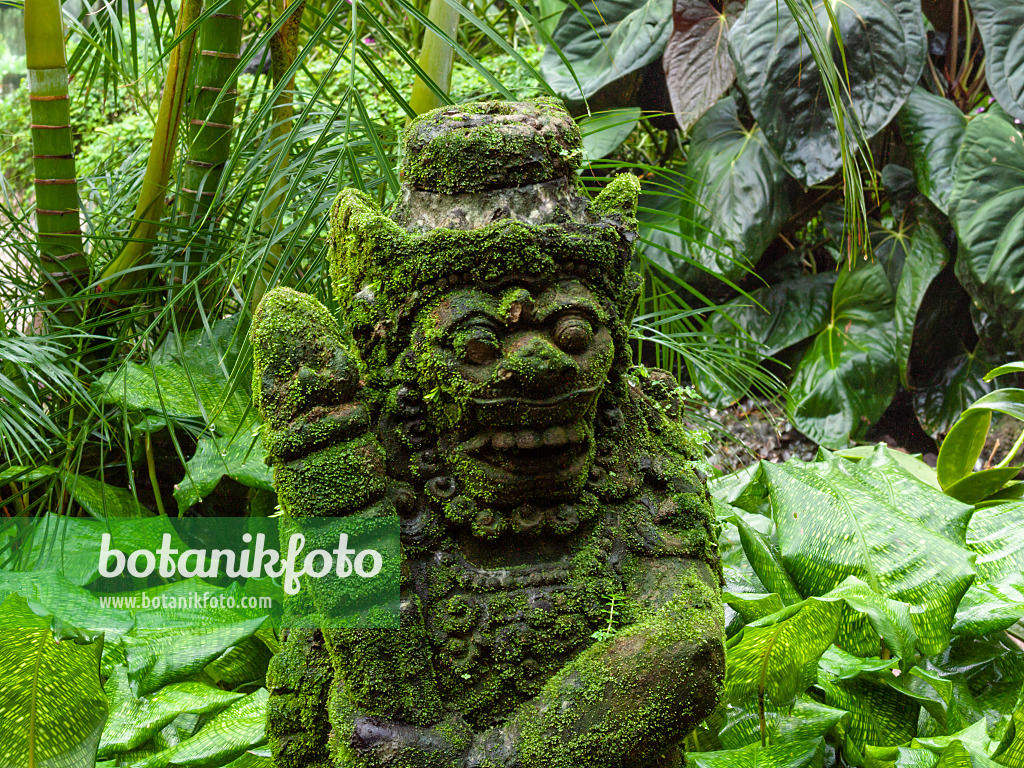 411193 - Tropical garden with sculpture, National Orchid Garden, Singapore