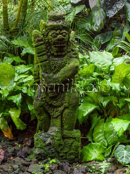 411194 - Tropical garden with sculpture, National Orchid Garden, Singapore