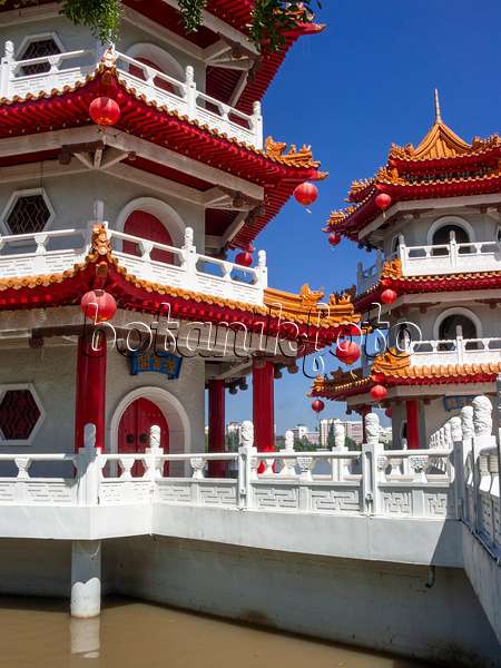 411035 - Twin Pagoda, Chinese Garden, Singapore