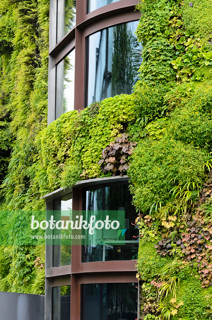 521402 - Vertical garden, Musée du quai Branly, Paris, France