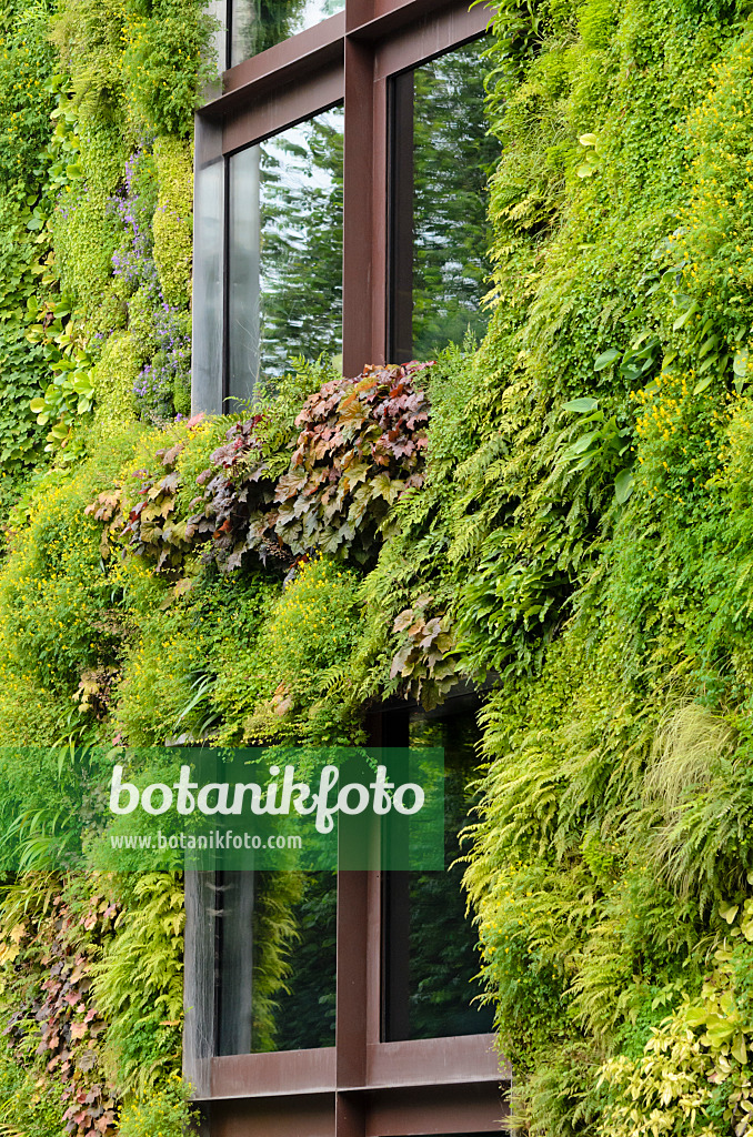 521403 - Vertical garden, Musée du quai Branly, Paris, France