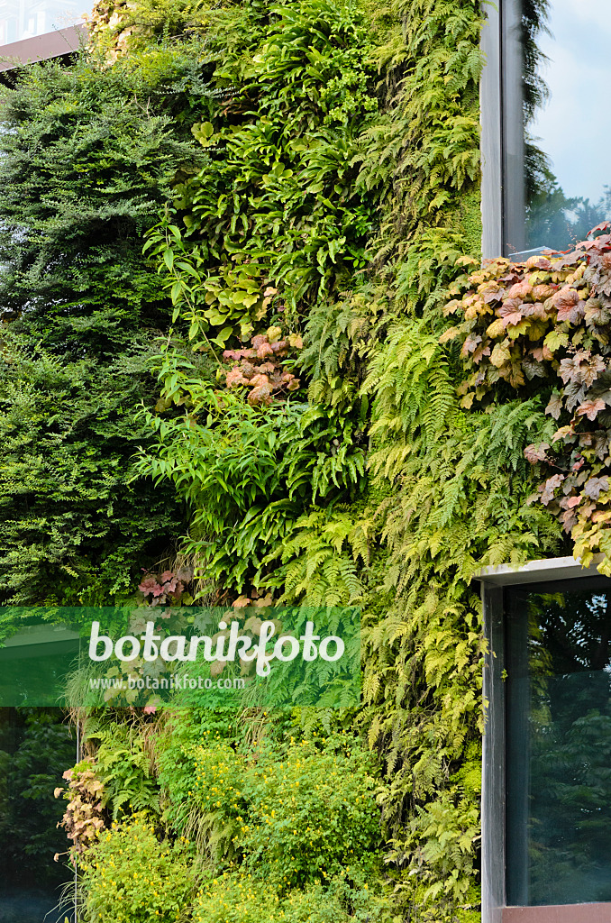 521404 - Vertical garden, Musée du quai Branly, Paris, France