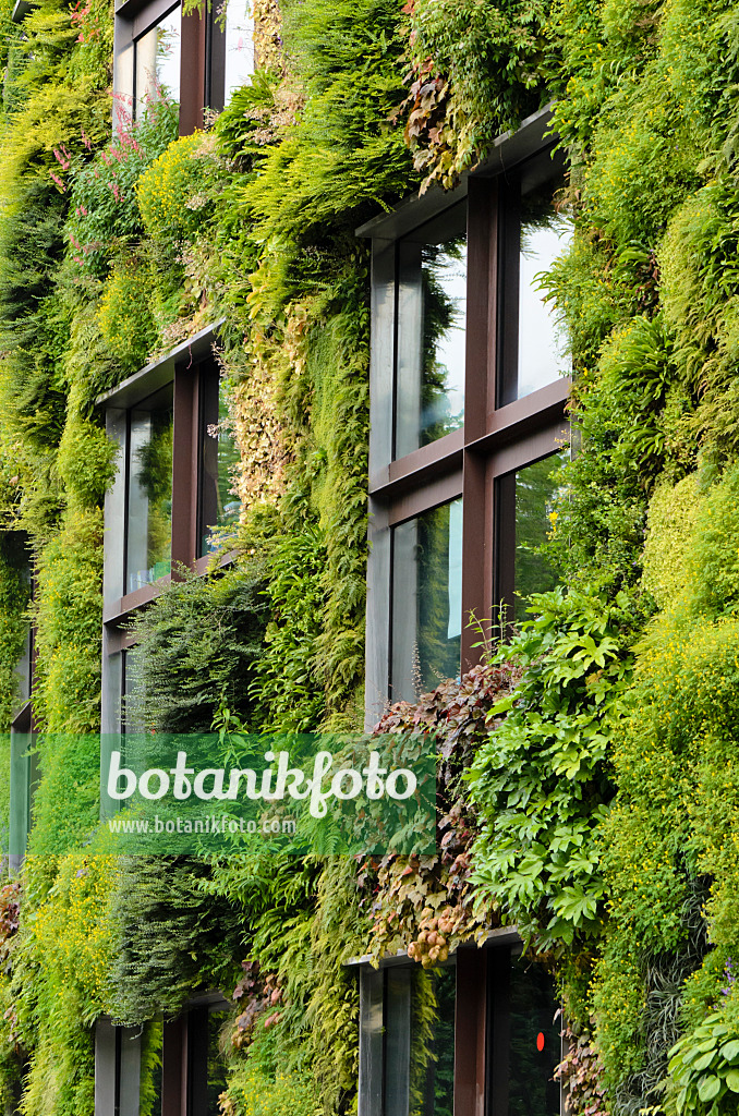 521405 - Vertical garden, Musée du quai Branly, Paris, France