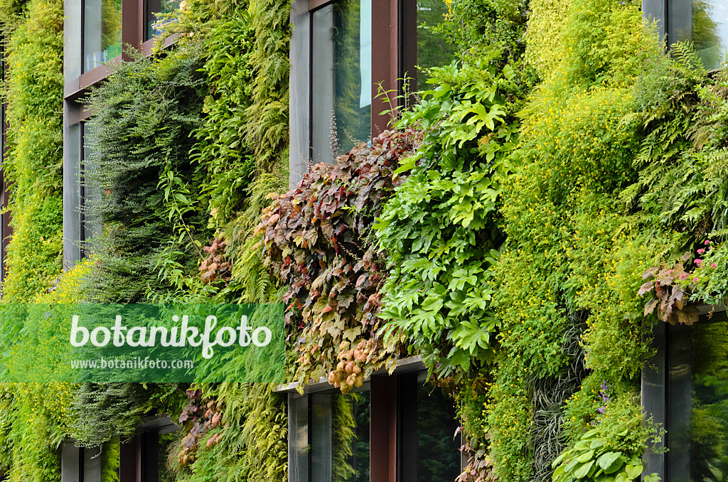 521406 - Vertical garden, Musée du quai Branly, Paris, France