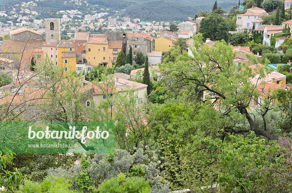 533138 - Vieille ville, Hyères, France