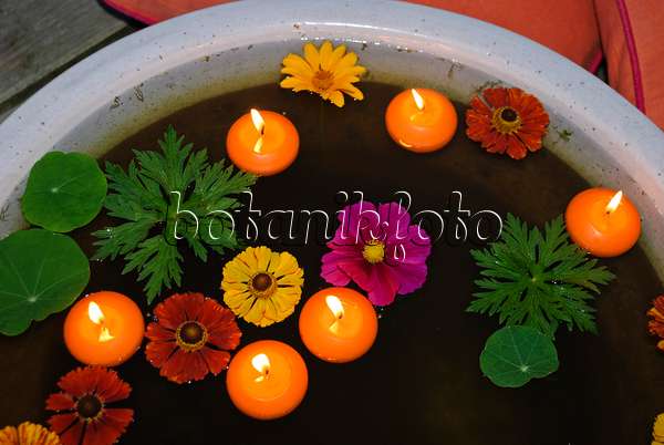 483019 - Water bowl with blossoms and floating candles