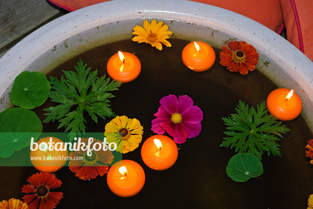 483019 - Water bowl with blossoms and floating candles