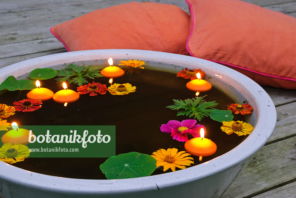 483032 - Water bowl with blossoms and floating candles