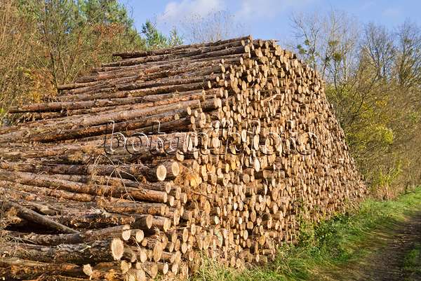 526054 - Wood pile